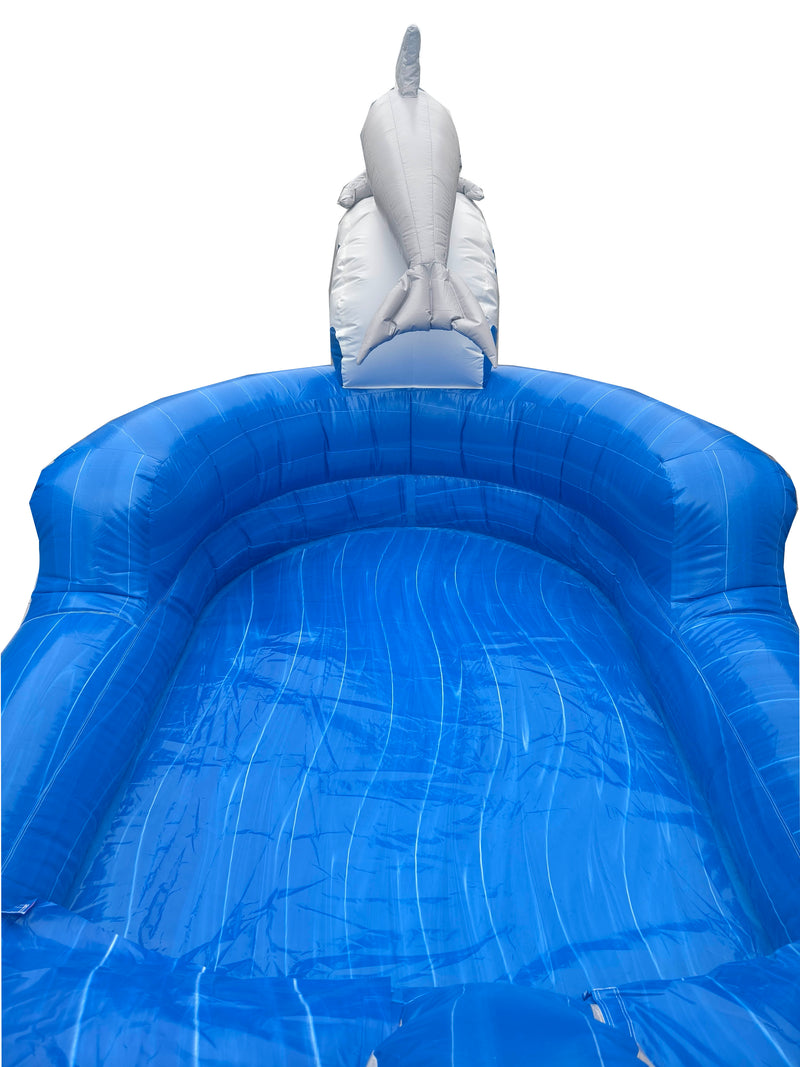14ft Dolphin Splash Waterslide