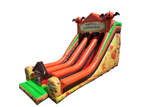 Harvest Dual Lane Slide