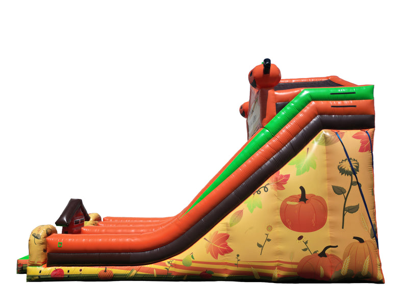 Harvest Dual Lane Slide
