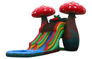 23ft mushroom water slide