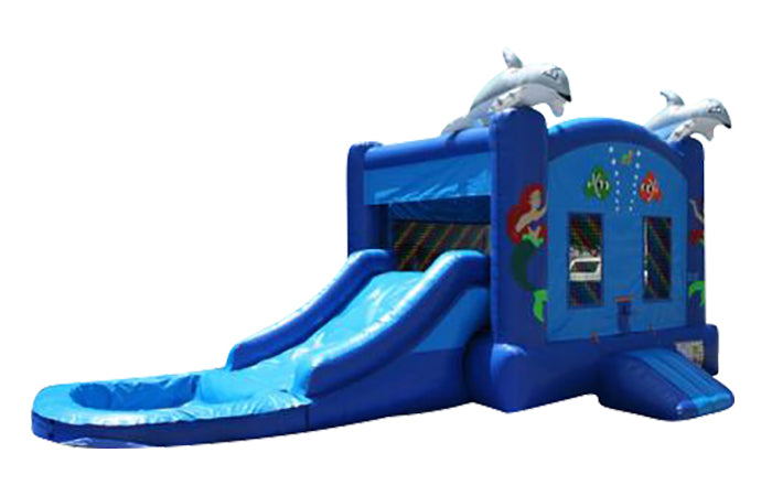 mini dolphin water combo